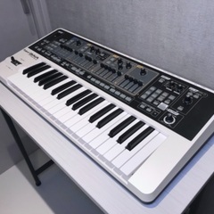 Roland GAIA SH-01 ソフトケース付き 動作確認済み