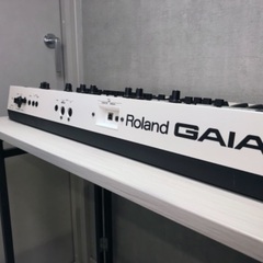 Roland GAIA SH-01 ソフトケース付き 動作確認済みの画像