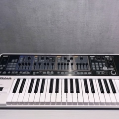 Roland GAIA SH-01 ソフトケース付き 動作確認済みの画像
