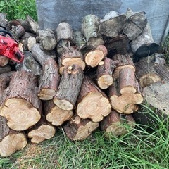 薪　生木です。の画像
