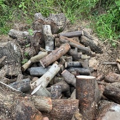 薪　生木です。の画像