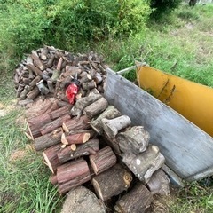 薪　生木です。の画像