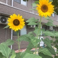 梅田で飲み会🍺開きます