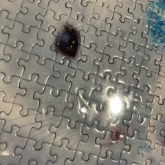 パズル完成品の画像