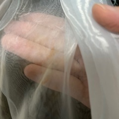 ブライダル用　ストールの画像
