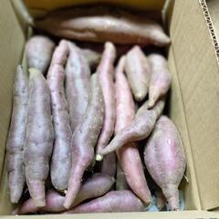 【新物】紅あずま 訳あり 10kg