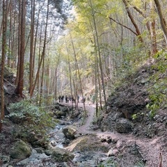 低山登山