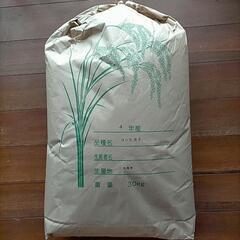 🌾千葉印旛産令和4年産コシヒカリ販売開始です。当家は江戸時代から...