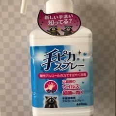 お得❣️手ピカスプレー420ml 新品