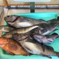秋田で船釣り仲間募集　WBC(割り勘ボートクラブ)秋田 - 秋田市