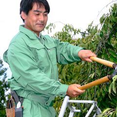 植木職人（東京）　募集の画像
