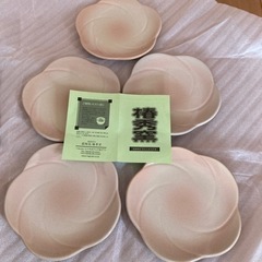 新品　萩陶苑　椿秀窯