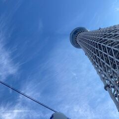 🌺🌺建築系軽作業スタッフ募集中😆✨🌺🌺　　⭐毎日❗　1日だけ❗　...