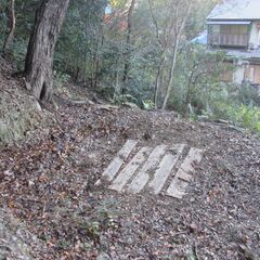 大阪府阪南市の山側の土地となります。市街地までもアクセス良好。関西国際空港も近いです。家庭菜園、キャンプ地として利用可能です。 - 阪南市