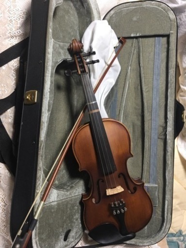 ハルショタットV-22 バイオリン