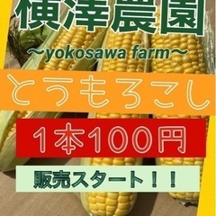 【とうもろこし】ゴールドラッシュ