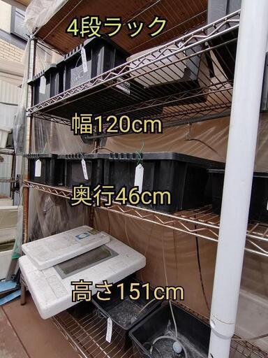 スチールラック　メダカ飼育　W120