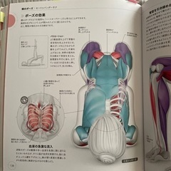 ヨガ解剖学　サイエンスオブヨガ　オススメ❗️の画像