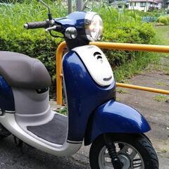 みっちり整備済み、保証つき！　ホンダ　ジョルノ(AF70) かわ...