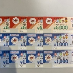 購入者決定！沖縄彩発見！！宿泊24000円+地域8000円