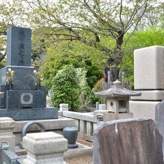 【お墓参り代行】【簡易清掃付き】【写真付き報告】ハウスクリーニン...