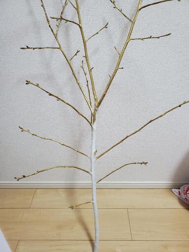【結婚式用】おしゃれにフォトを飾る桜の木