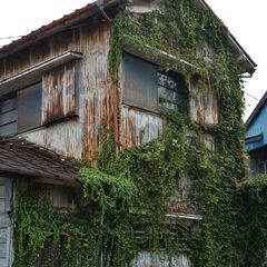 【台風後の現地確認】【空き家の現地確認サービス】【写真付き報告】かゆい所に手が届く真心サービス☆彡 - 熊本市