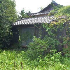 【台風後の現地確認】【空き家の現地確認サービス】【写真付き報告】かゆい所に手が届く真心サービス☆彡 - 便利屋