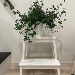 IKEA ステップ台の画像