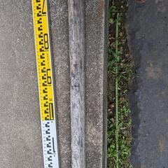 根切棒1　ガーデニング　日曜大工　建築工事の画像