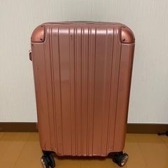 キャリーバック