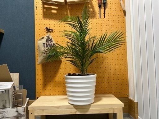 ◾︎フェイク観葉植物◾︎サイズ小さめ