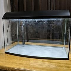 水槽 曲面ガラス62cm　濾過装置　システムライト