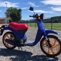 【売約済み】希少スクーター Via 50cc 実働 整備済み イタリアホンダ レア車両 の画像