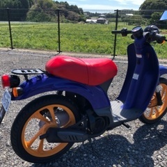 【売約済み】希少スクーター Via 50cc 実働 整備済み イタリアホンダ レア車両 の画像