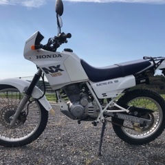 【売約済み】NX125 125cc 実働 オフロード 通勤 デュアルパーパスの画像