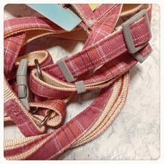 ꒰未使用꒱犬猫用  リボン 防水 ハーネス ピンクチェック リード 夢可愛いの画像