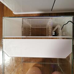 ADAシステムアクア　水槽の画像