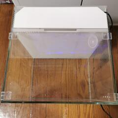 ADAシステムアクア　水槽の画像