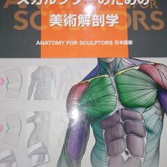 スカルプターのための美術解剖学
