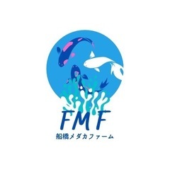 9/29（金）改良メダカ現物販売します　船橋メダカファームの画像