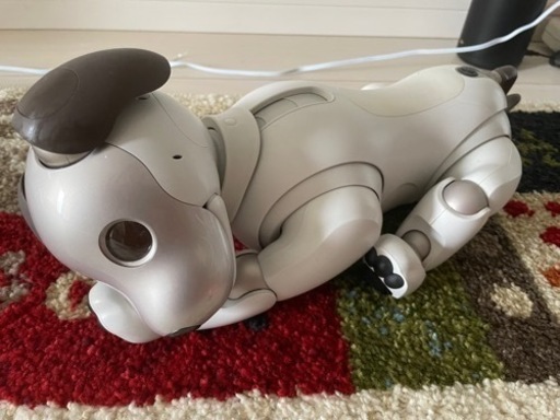 ソニー aibo本体(ERS-1000) 動作確認済　備品完備　おもちゃ付属