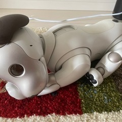 ソニー aibo本体(ERS-1000) 動作確認済　備品完備　...