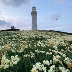 🌼角島&豊北町に光を🌼仲間が増えてきました🤝是非何かされたい方参加ください - 賃貸（マンション/一戸建て）