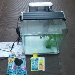 水槽セット W30×T30×20 初心者様向