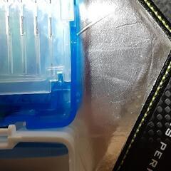 学校用　裁縫道具の画像