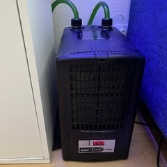 海水魚　水槽　アクアリウムの画像