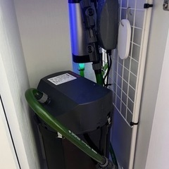 海水魚　水槽　アクアリウムの画像