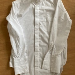 結婚式用ウイングカラードレスシャツ(41-84)の画像