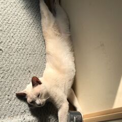 元気な爺ｨ💦<(_ _)>